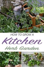 How To Grow A Kitchen Herb Garden Joy