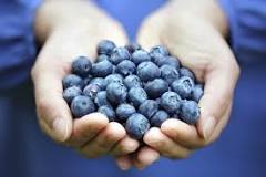 What are the side effects of eating blueberries?