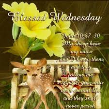 Have a Blessed Wednesday ecard John 14:6 KJV
