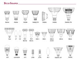 bulbs identification guide