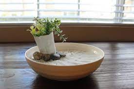 Diy Mini Succulent Zen Garden Golden