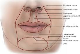 lips and chin plastic surgery key