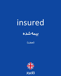 نتیجه جستجوی لغت [insured] در گوگل