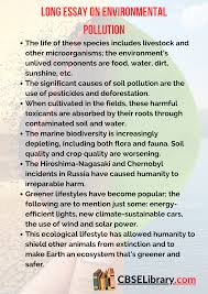 environmental pollution essay for