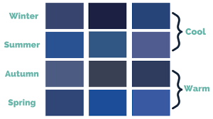 The Best Navy Blue Color For Your