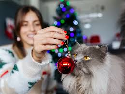 cat from using your holiday decorations