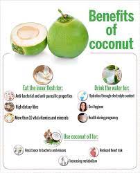 why coconut is a miracle fruit femina in