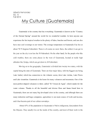 culture essay 