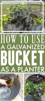 Using Galvanized Containers As Planters