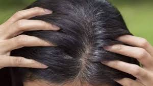 And which products are those? Hair Turning Grey Try These Five Natural Home Remedies Newsbytes