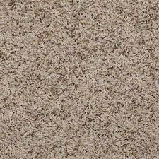 shaw industries adrian thatch carpet