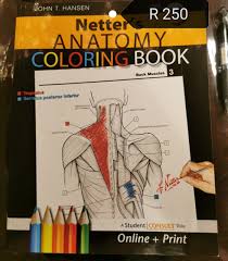 Nearly 600 beautifully colored illustrations offer essential depictions of normal and pathologic anatomy and. Netters Anatomy Coloring Book Student