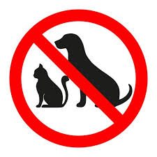 Prohibido perros vector, gráfico vectorial, imágenes de Prohibido perros vectoriales de stock | Depositphotos®