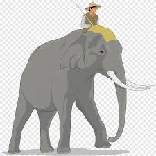 gajah s mamalia fauna png