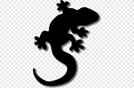 gecko png images pngegg