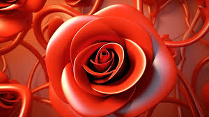 ilration of a red rose background