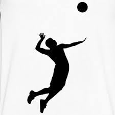 Bilderesultat for volleyball