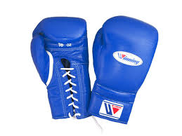 10 best boxing gloves brands in india