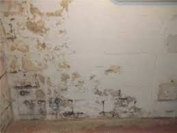 Scrub the surface mold stains from walls and wood trim with a mixture of 1 qt. Green White Yellow Black Mold On Basement Wall Cinder Blocks The Mold Hound