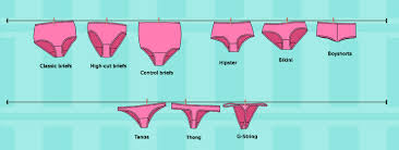 Different Types Of Panties Panty Styles Types Of Ladies