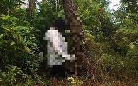 Hải Dương: Nam thanh niên treo cổ trên cây ở khu vực bờ hồ Đại An