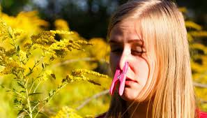 Quali sono gli alimenti da evitare e i migliori rimedi naturali per alleviare i sintomi delle allergie alle graminacee? Allarme Allergie Gli Alimenti Da Evitare Dilei