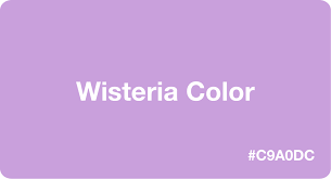 With our wisteria promo codes, customer can get discount in average of $94 for entire orders. Wisteria Color Hex Code C9a0dc
