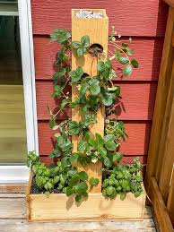 Diy strawberry wooden tower planter this is a nice narrow wooden tower by pass along plants. Diy Strawberry Planter With Plans The Handyman S Daughter