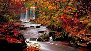 Autumn Scenery Wallpapers - Top Free ...