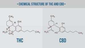 How To Decarb Weed The Right Way Temperature Chart