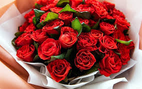 Rose fragrance flower pictures hd flowers rose wedding birthday flowers marriage anniversary pink roses flowers online. Download Wallpapers Bouquet Of Red Roses Beautiful Flowers Beautiful Bouquet Red Roses Background With Roses A Large Bouquet Of Flowers Roses For Desktop Free Pictures For Desktop Free
