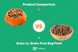 grain vs grain free dog food which