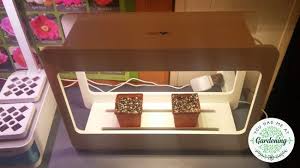 The Best Indoor Herb Garden Kits Tested Reviewed Yhmag
