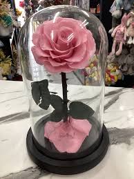 Pink Preserved Rose In Glass Dome