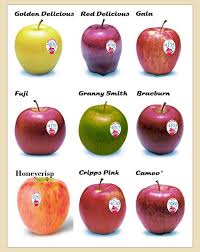 Pin By Rhi Storm On Energy Apple Fruit In Season