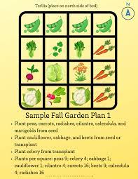 Starting A Fall Garden Growing In The