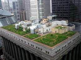 What Is A Green Roof Howstuffworks