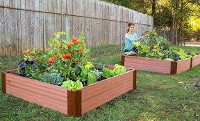 7 Expert Gardening Tips For New