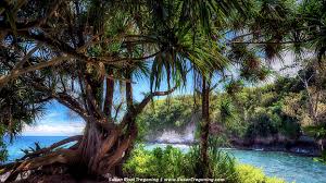 hawaii tropical botanical gardens