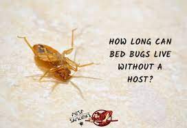 Bed Bugs Live Without A Host