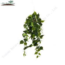 Hanging Plant And Artificial Plant