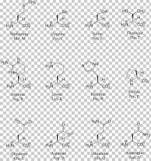 Structure Chart Amino Acid Png Clipart Acid Amine Amino