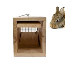 wcs wooden rabbit trap wildlife