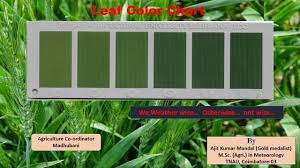 How To Use Leaf Color Chart Lcc