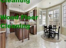 kiwi carpet cleaning services plano