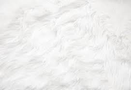 fur rug stock photos images and