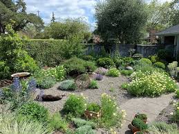 Drought Tolerant Landscaping Ideas