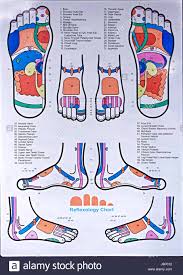 Foot Reflexology Illustration Chart Stock Photo 143083166