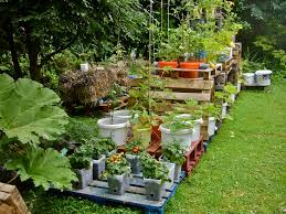 Container Gardening On Pallets A