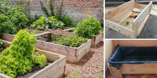 Self Watering Raised Garden Beds